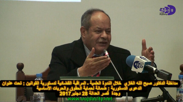 الدعوى الدستورية : ضمانة لحماية الحقوق والحريات الأساسية ـ د. صبح الله الغازي VIDEO